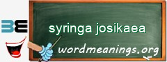 WordMeaning blackboard for syringa josikaea